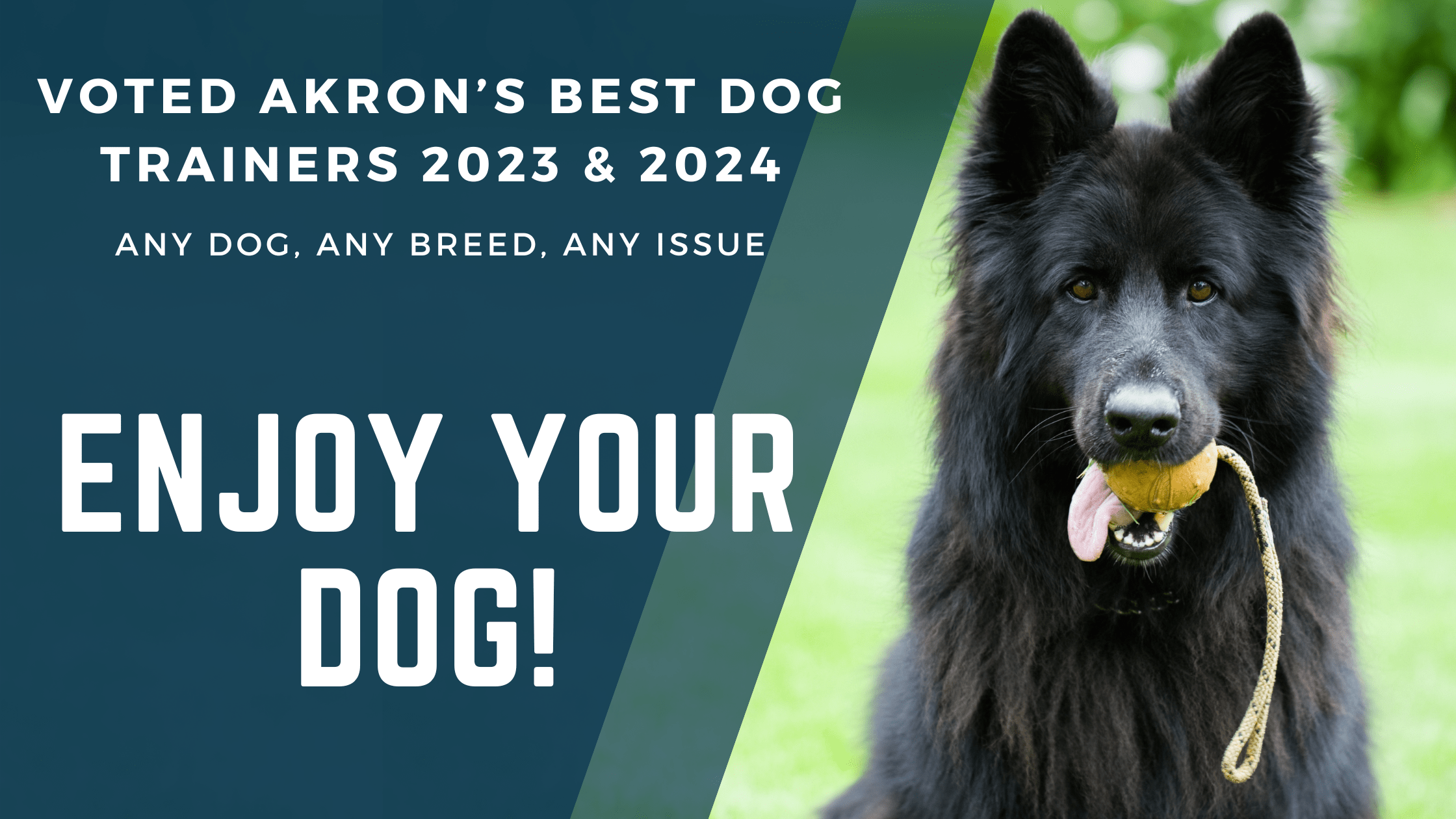 K9 Guide Dog Training Stow OH Akron Medina Cleveland Canton