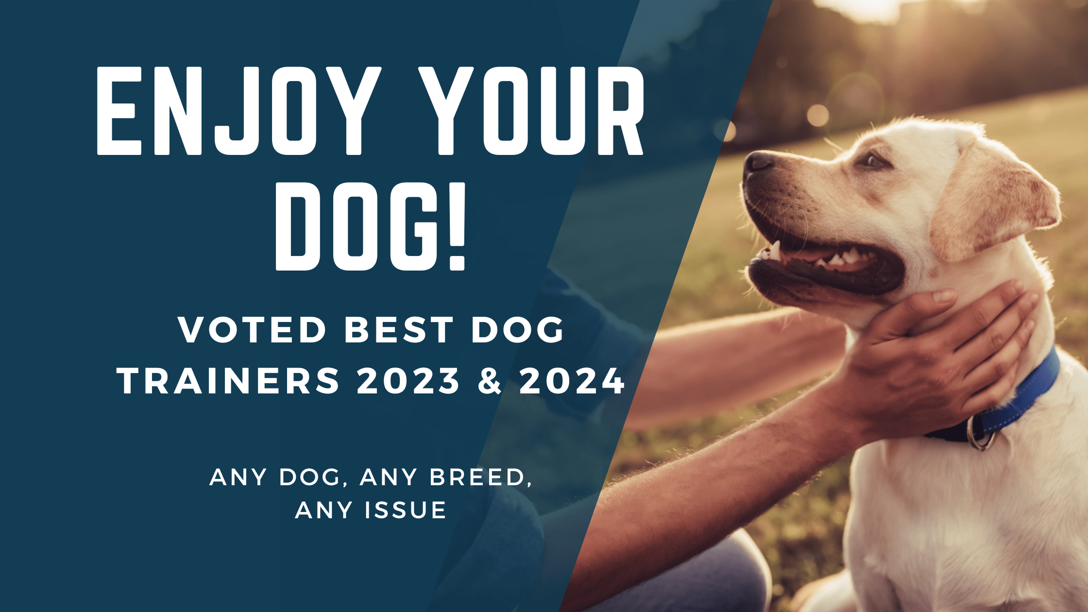 K9 Guide Dog Training Medina