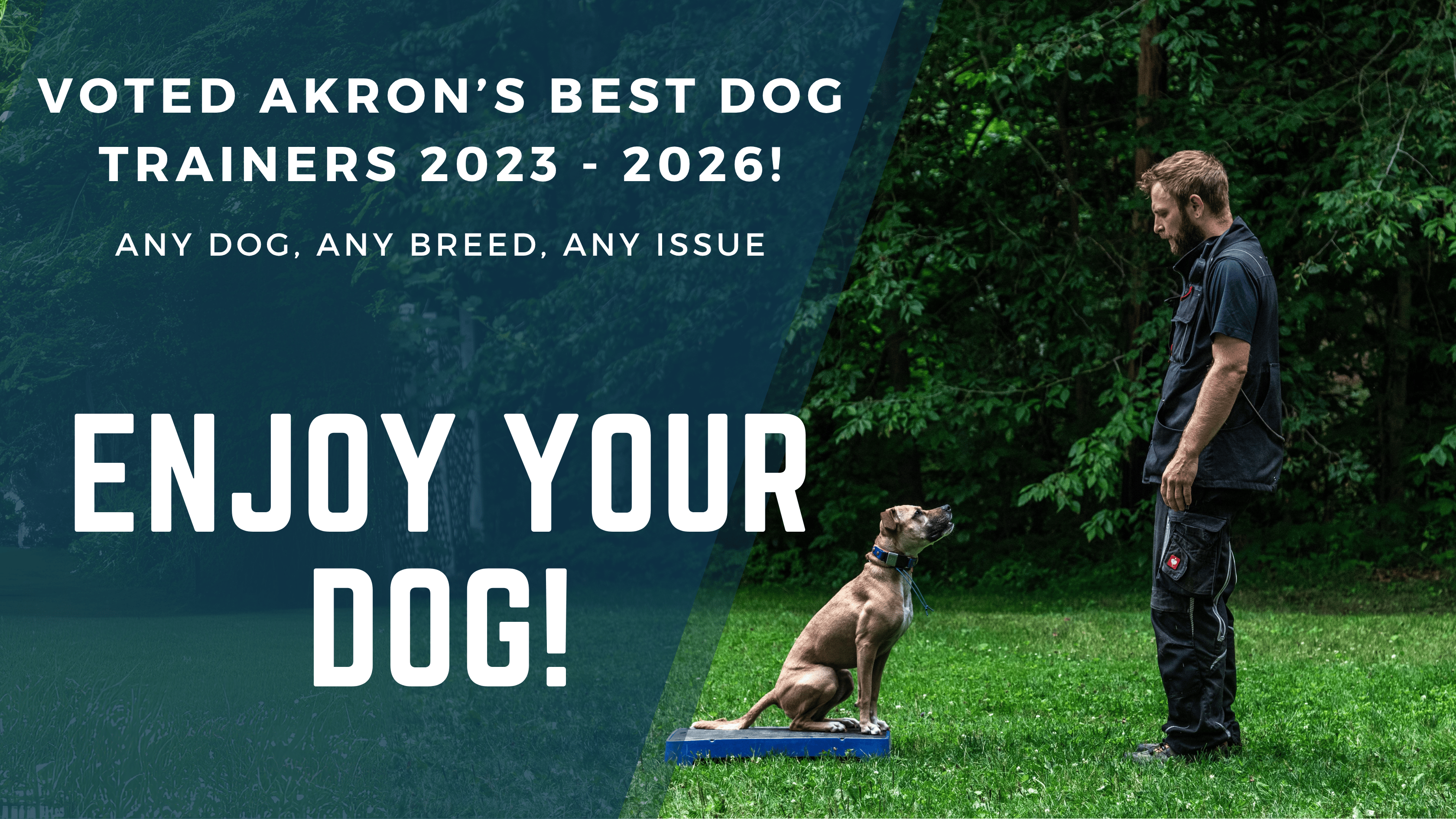 Best Akron Dog Trainers - K9 Guide Dog Training Medina Akron