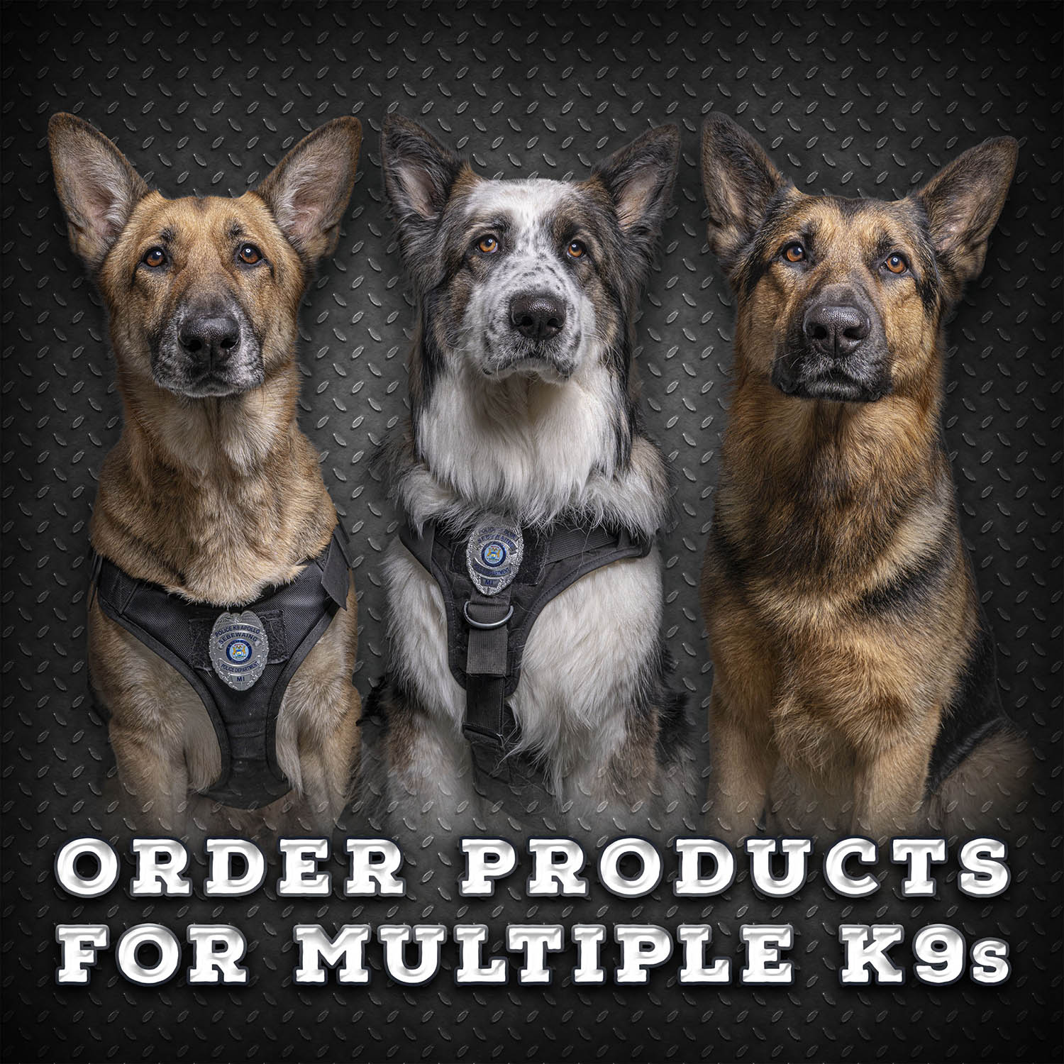 Order Form - Multiple K9s - K9 Hero Cards