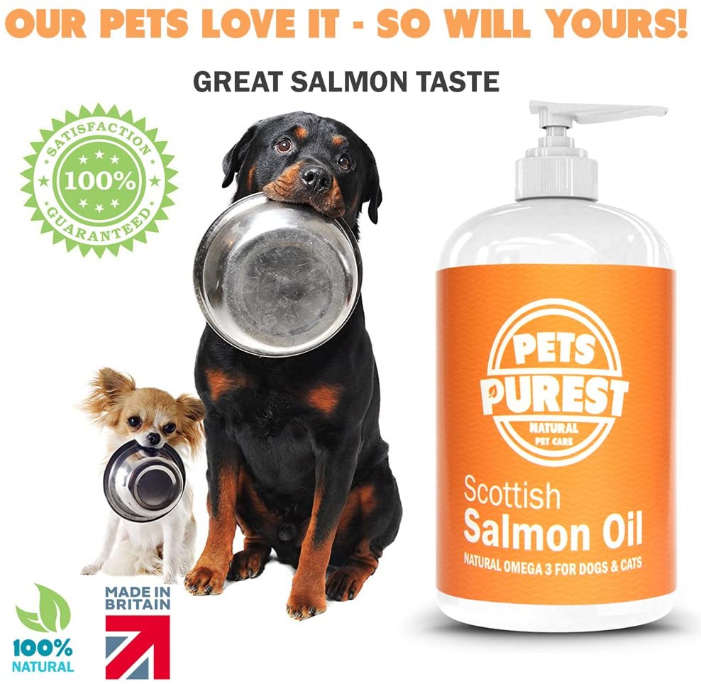 fish oil for dogs pets at home