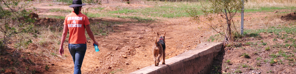 Contact Us K9 Sara