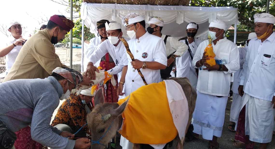 Doakan Gering Agung Cepat Berlalu, Puri Tegal Denpasar Pemecutan Gelar Upacara Pakelem Agung Pemahayu Jagat