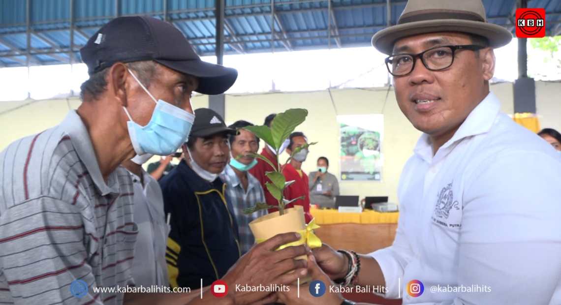 Gus Adhi Serahkan Bantuan 29 Ribu Lebih Bibit Kopi Robusta di Busungbiu, Ajak Petani Perluas Pemasaran Produksi-kabarbalihits