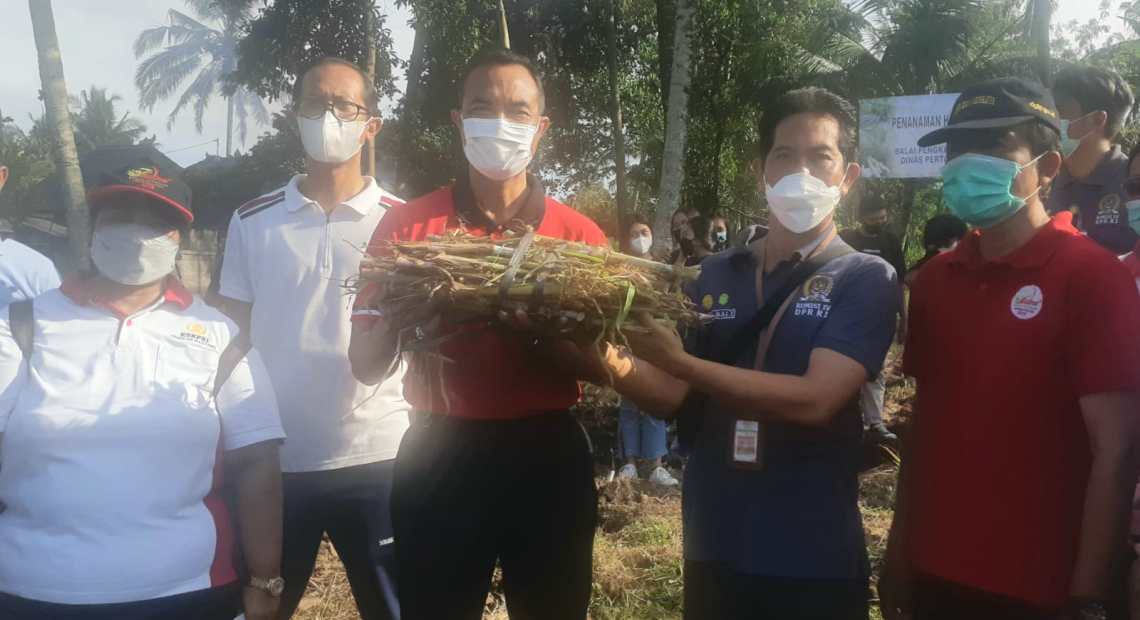 Dorong Peningkatan Populasi Sapi Bali Dinas Pertanian Kembangkan Kebun Edukasi HPT-kabarbalihits