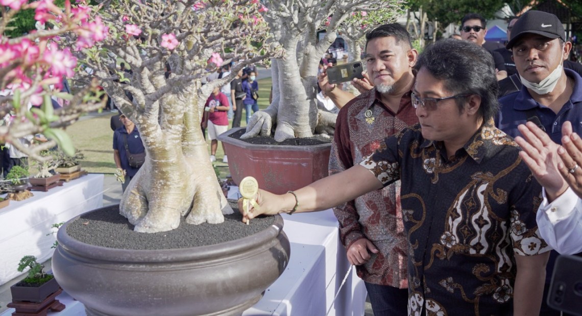 Hadiri Pameran Bonsai di Gianyar Bupati Giri Prasta Sebut Potensi Ekonomi Bonsai Menjanjikan-kabarbalihits