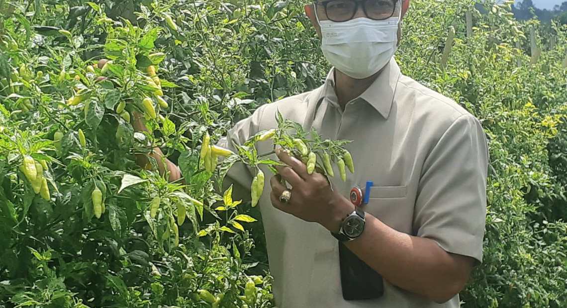 Serap Produksi Kedelai Petani, Dinas Pertanian Gandeng Pengusaha Tahu-kabarbalihits