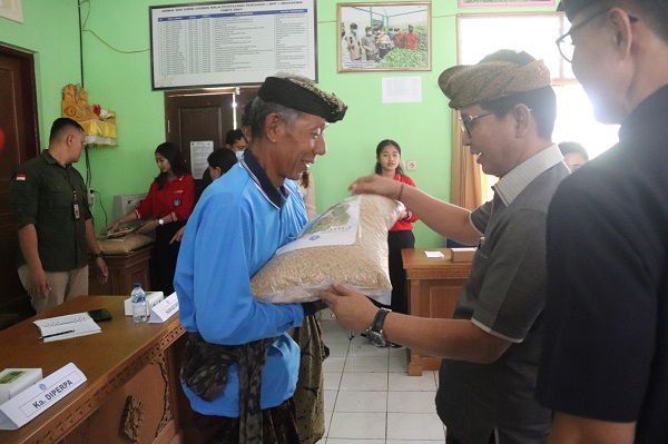 Sekda I Wayan Adi Arnawa membuka secara resmi acara Bimtek bagi petugas pertanian, sekaligus penyerahan Benih Padi Unggul Ciherang kepada Subak Aban, bertempat di Kantor BPP Abiansemal, Kamis (26/10)-kabarbalihits