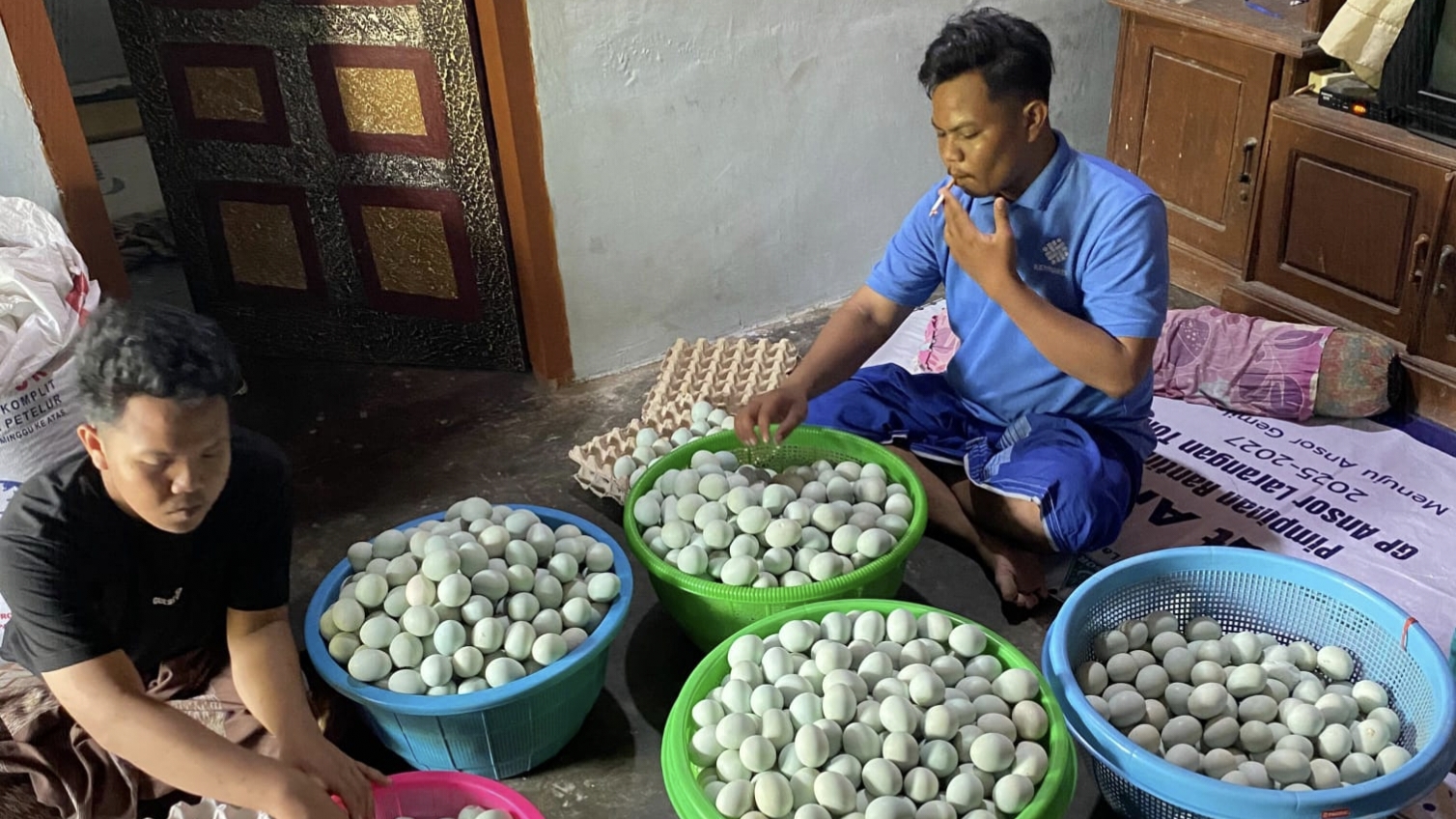 Dari 120 Bebek, Dhenis Kembangkan UMKM Telur hingga Tembus Program MBG