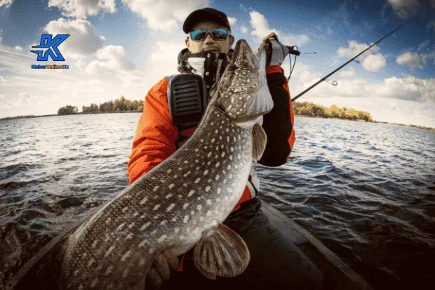 Mancing Ikan Menyenangkan dengan Alat dan Umpan yang Tepat Kabaronlineku.my.id