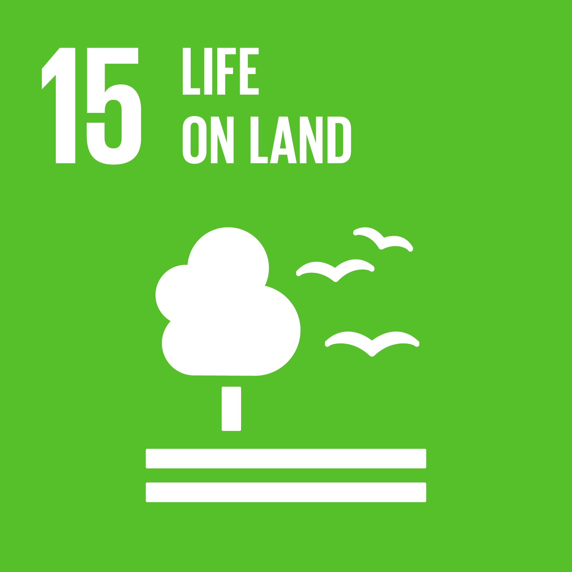 SDG 15 Life on Land