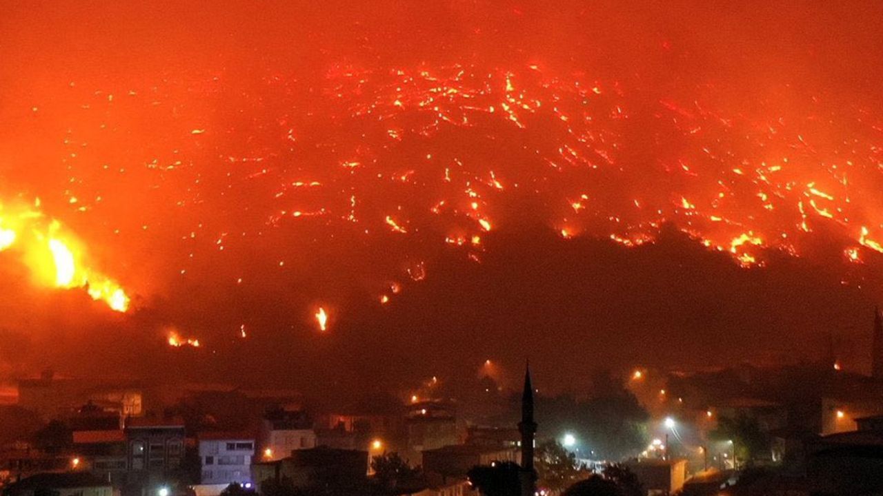 Bursa’da orman yangınları sürüyor: Sabotaj şüphesiyle 1 kişi gözaltına alındı – Birlik Haber Ajansı