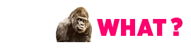 logo header 1