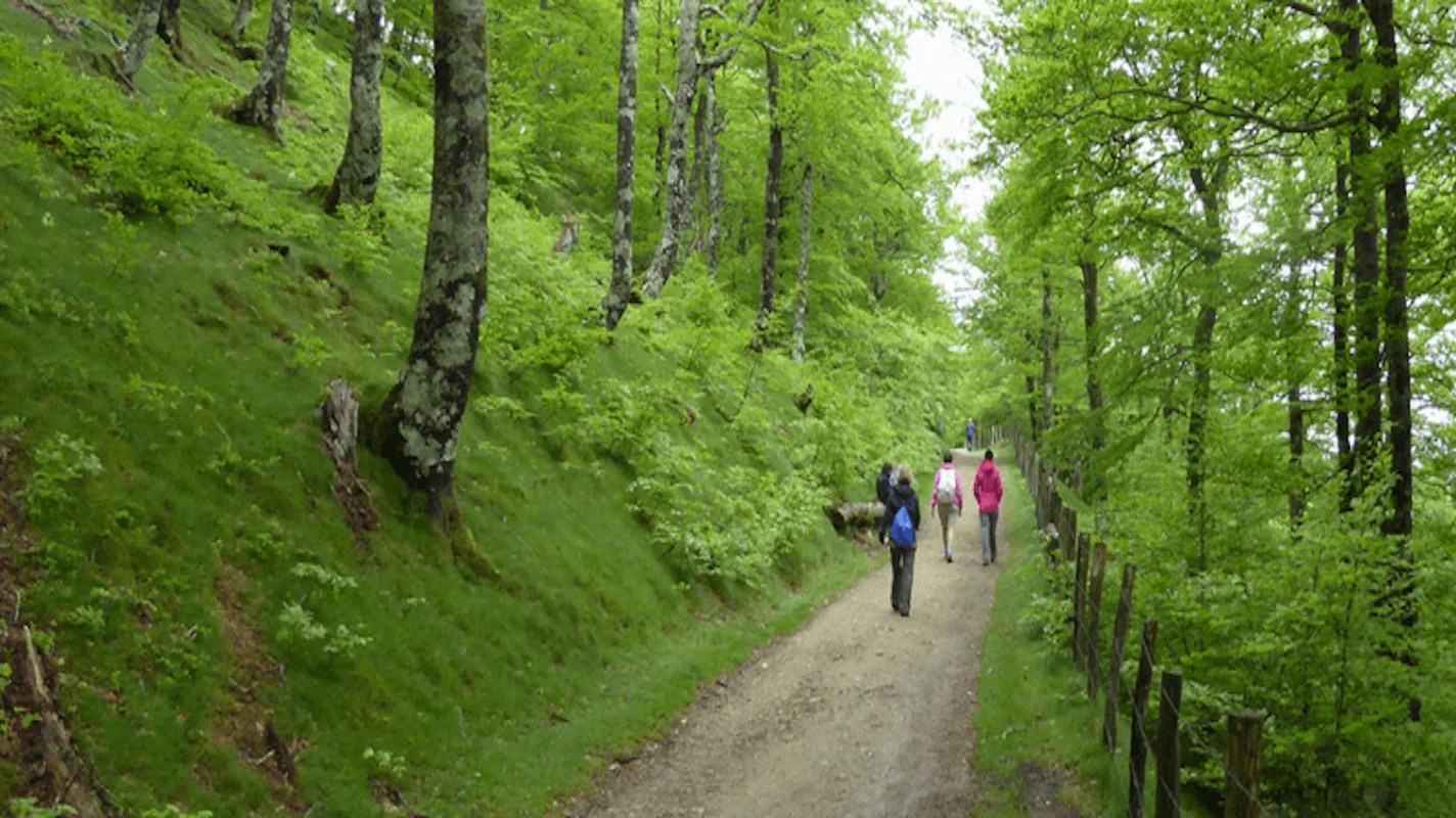 Sağlık İçin Yürümek