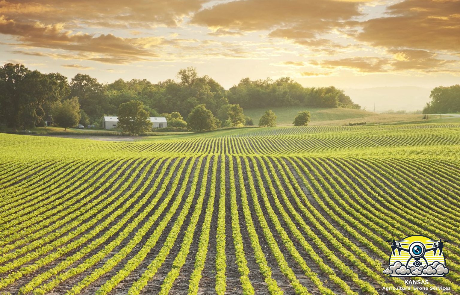 The Many Ways Agricultural Drones Improve Crops
