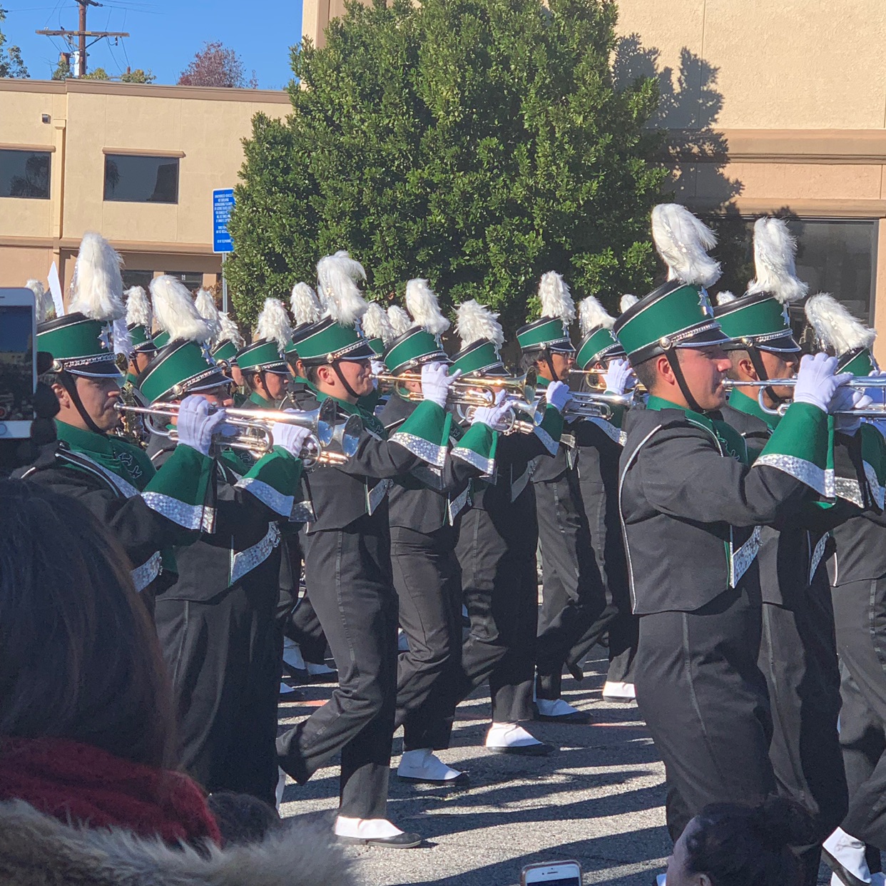 f8d7cf4a0d104a62b9cb02ca034672af