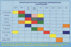 Стоит ли делать прививку от кори, краснухи и паротита? Прививка корь, краснуха, паротит: как проводят вакцинацию