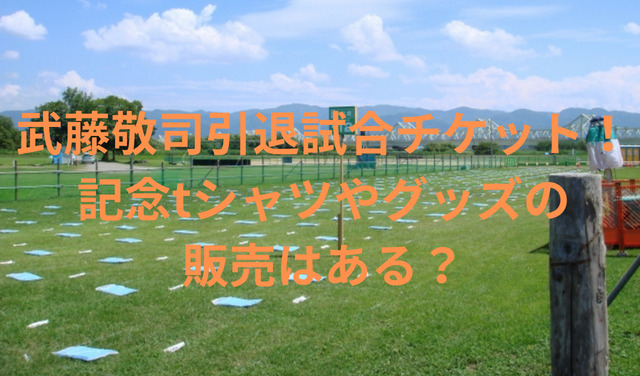 独特の上品 パンフレット ムトケシ econet.bi