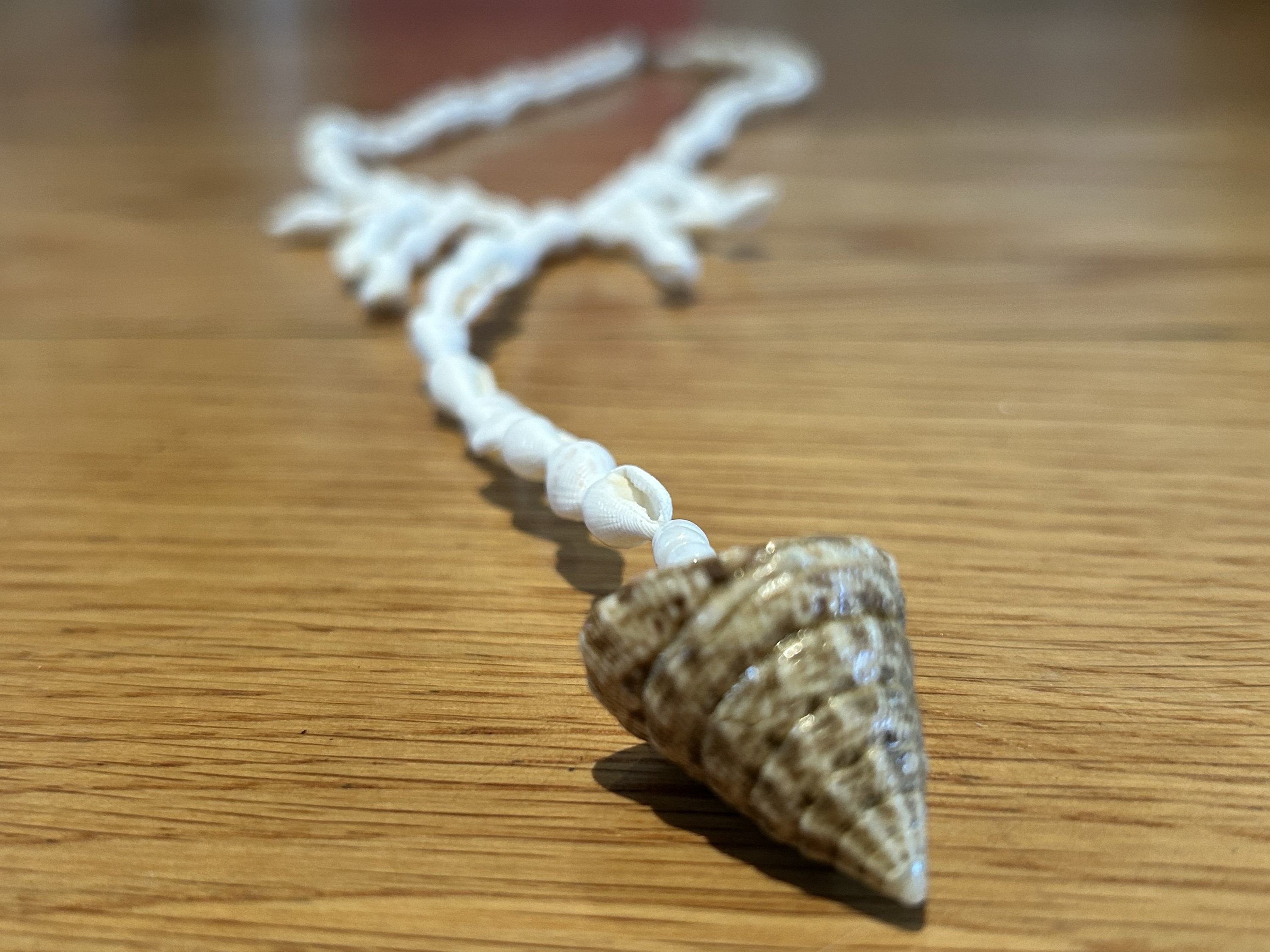 Habak Kulintas (Protective Amulet): Spinning Shell