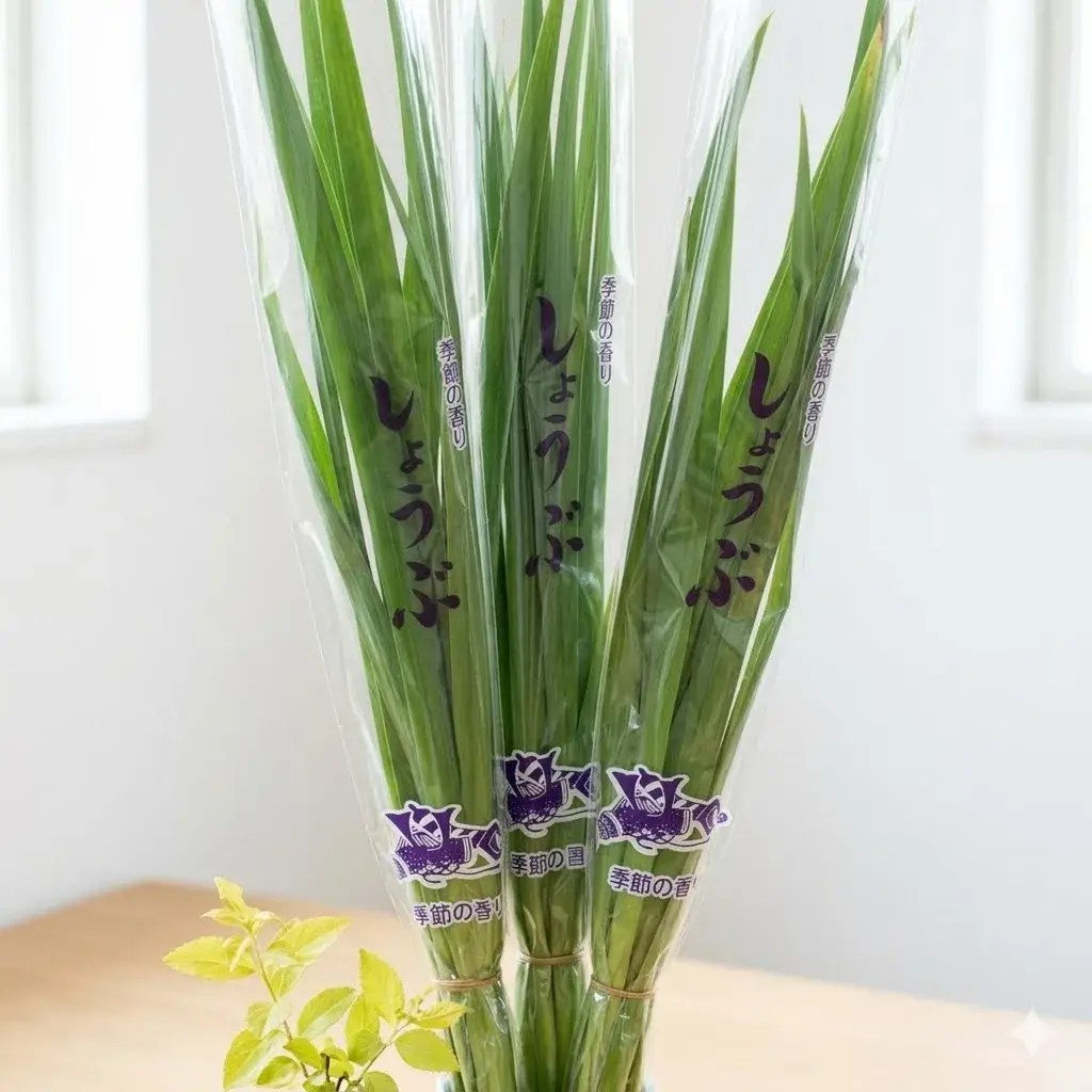 見ごろの植物 アヤメが咲きました（5⁄8更新） 10.5cmポット苗 園芸