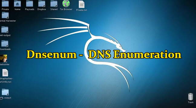 DNSENUM: INFO SUI DNS