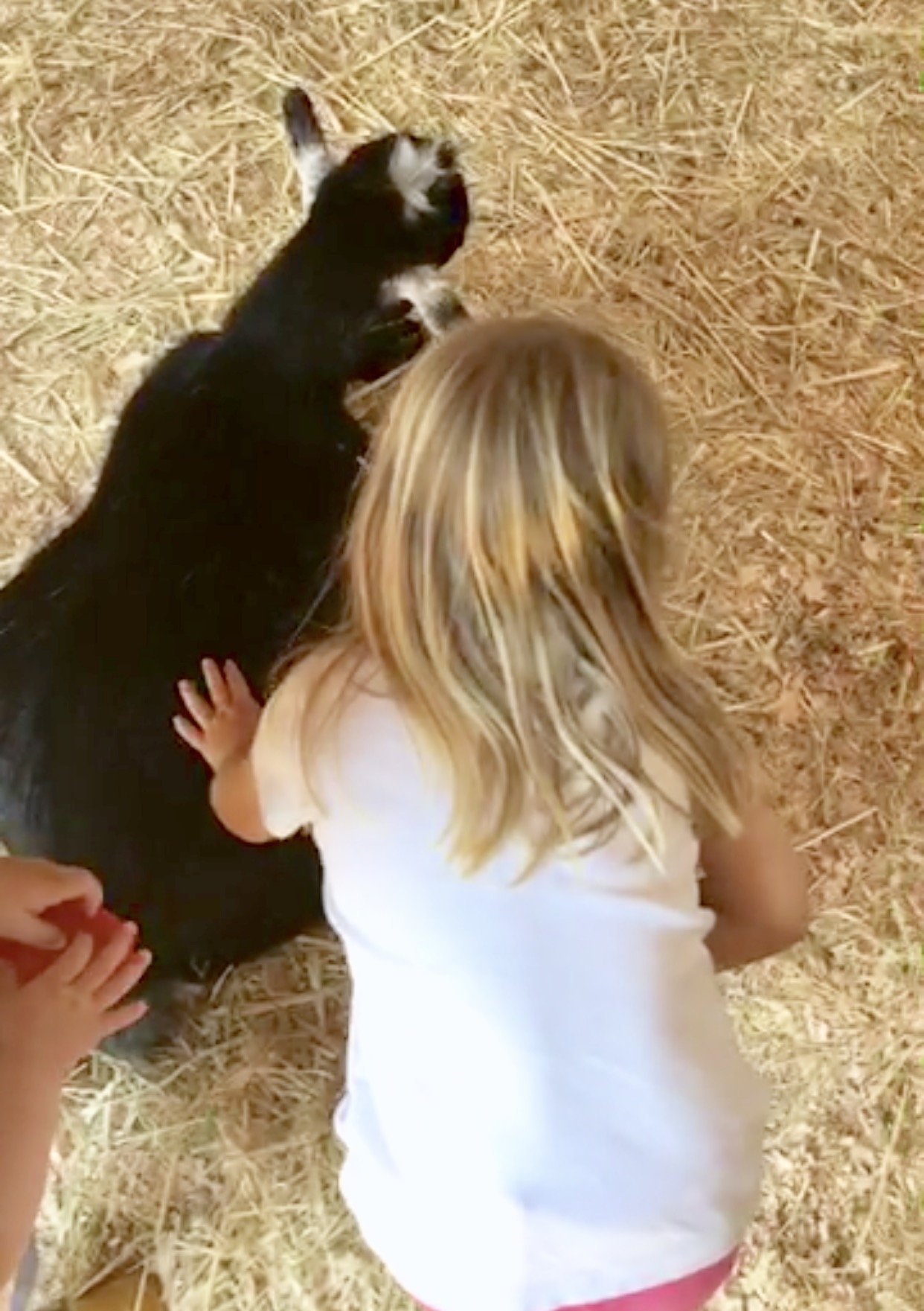 8 Activities to do with you Kids