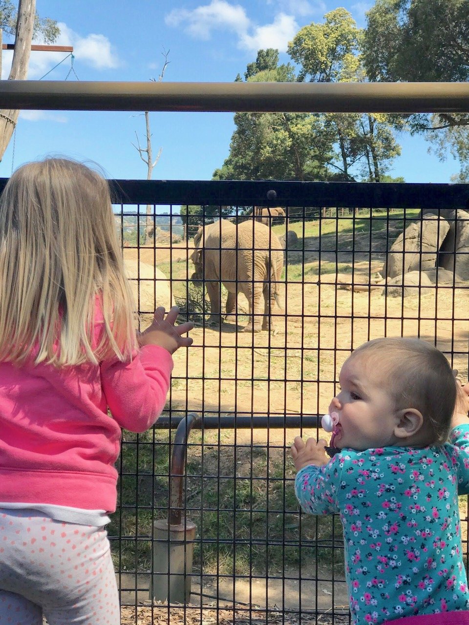 8 Activities to do with you Kids