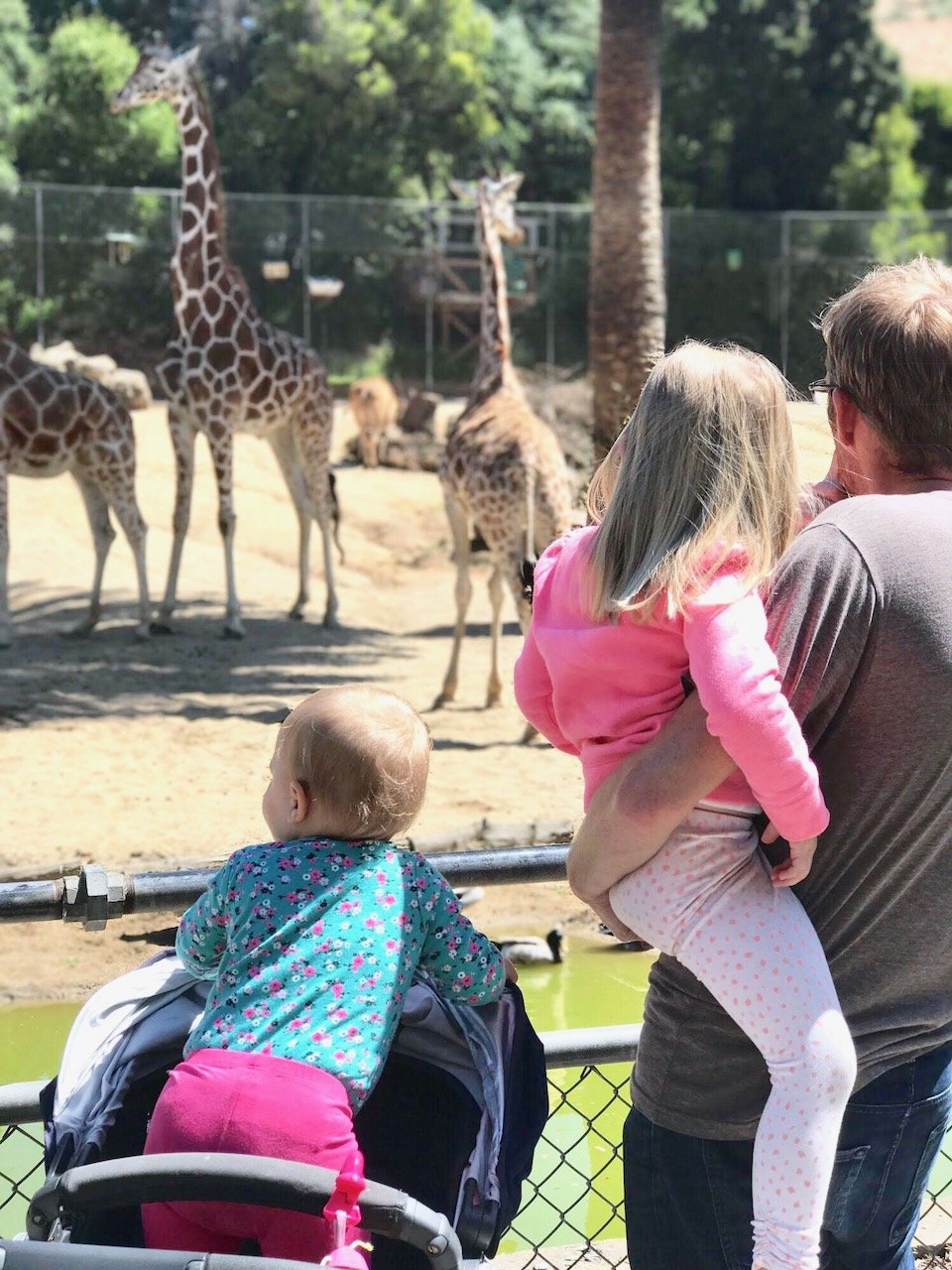 8 Activities to do with you Kids