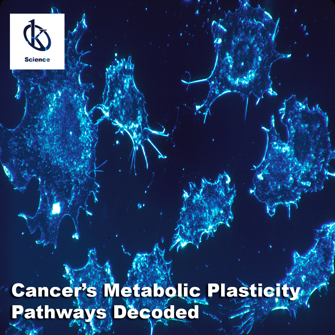 We have a large inventory of used laboratory equipment for sale. Archives Des Used Laboratory Equipment For Sale Kalstein France