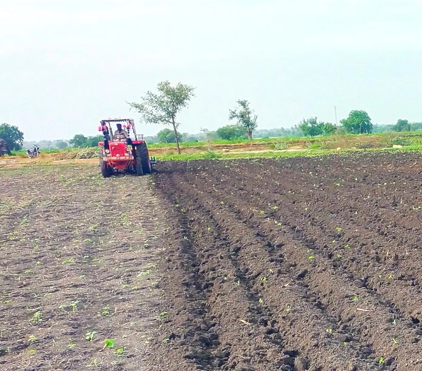 WhatsApp Image 2024 09 06 At 9.37.20 AM