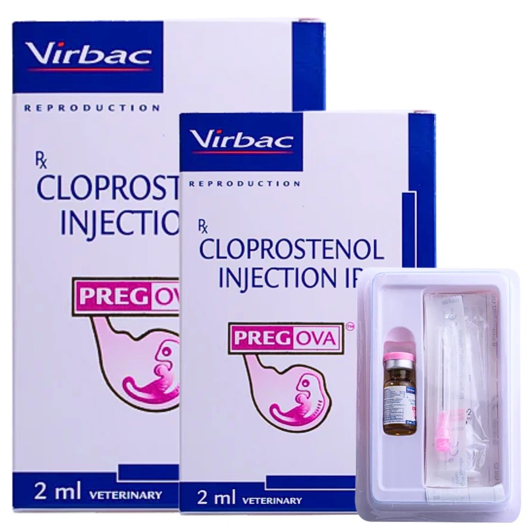 PREGOVA