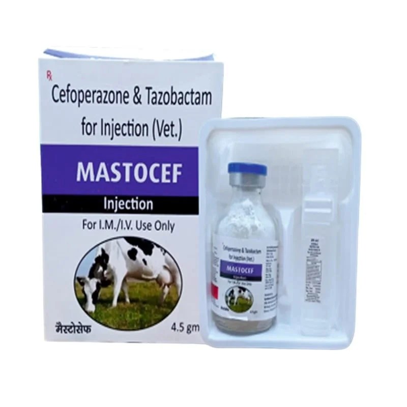 MASTOCEF