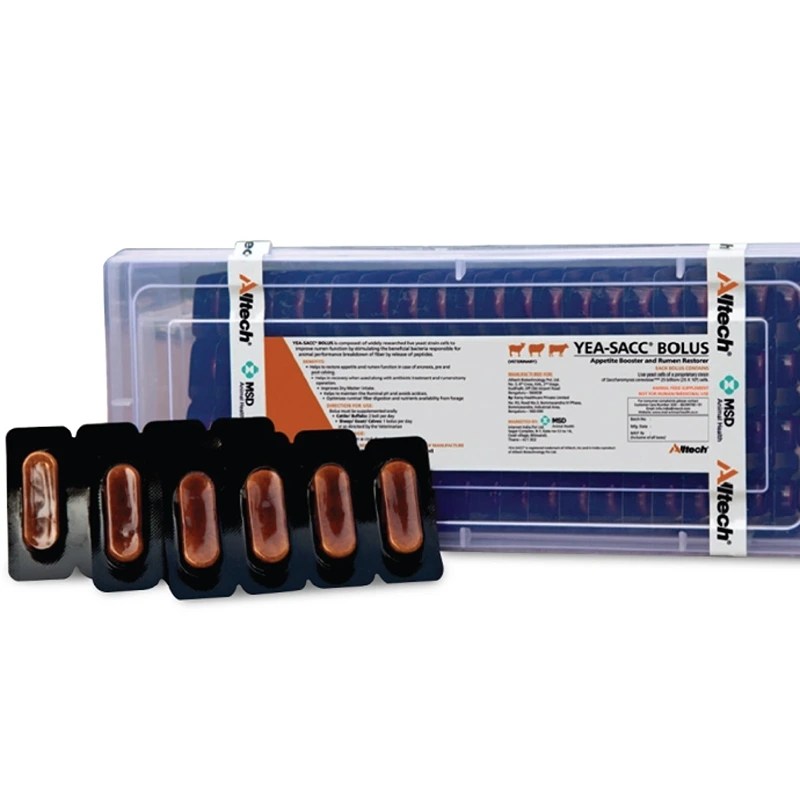 YEA-SACC® BOLUS
