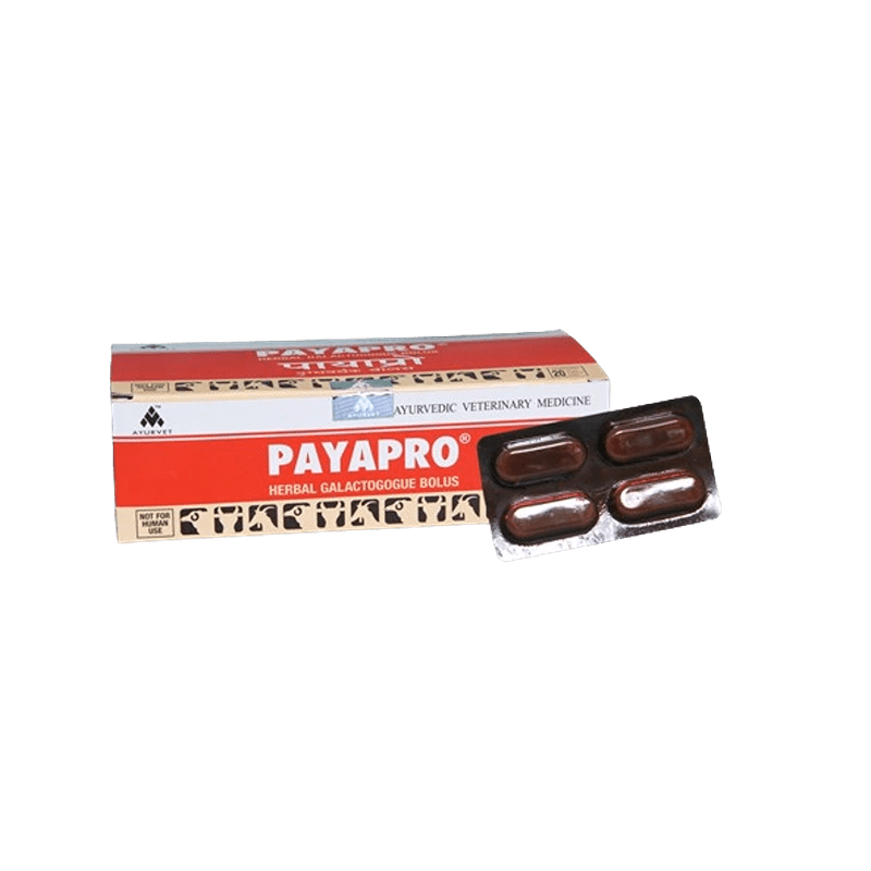 PAYAPRO