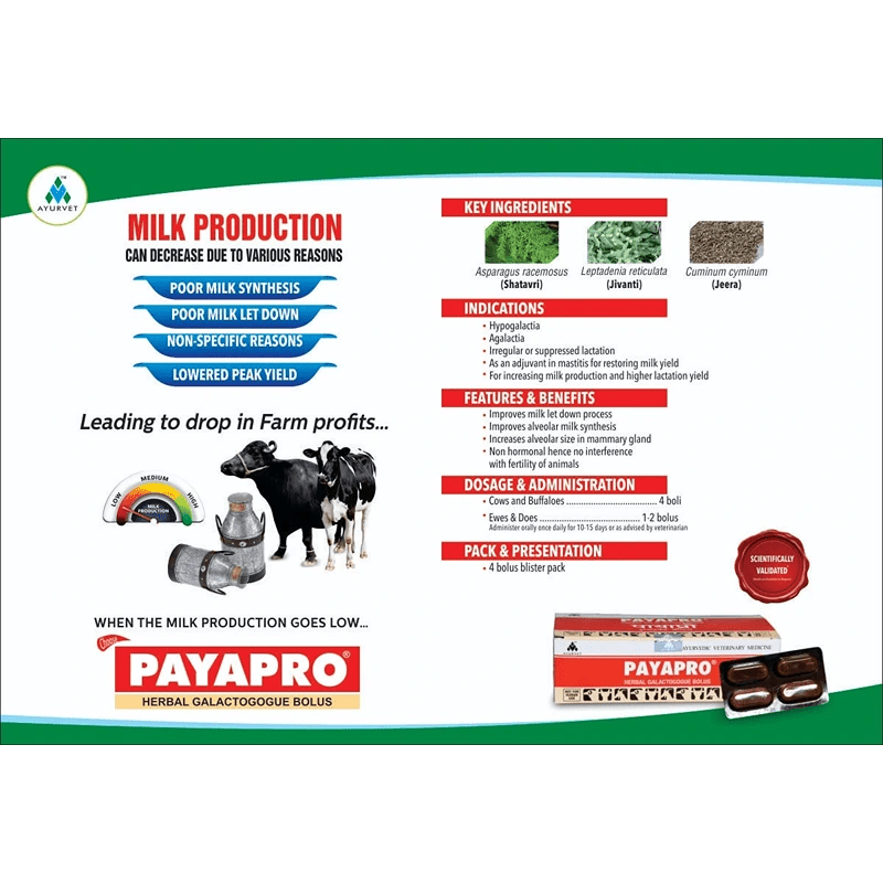 PAYAPRO