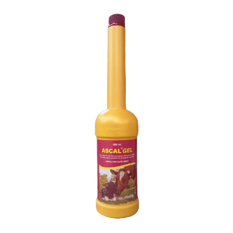 ascal gel