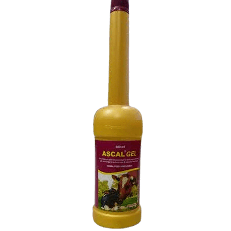ascal gel