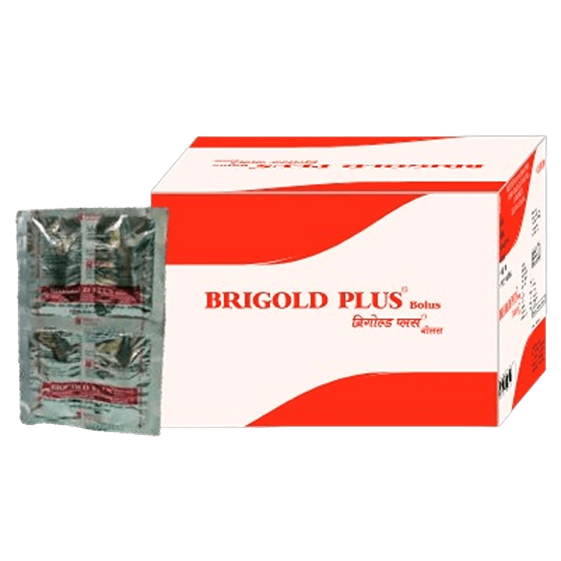 Brigold Bolus