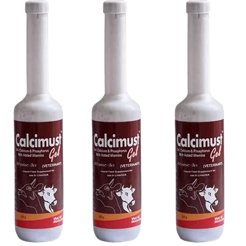 Calcimust Gel