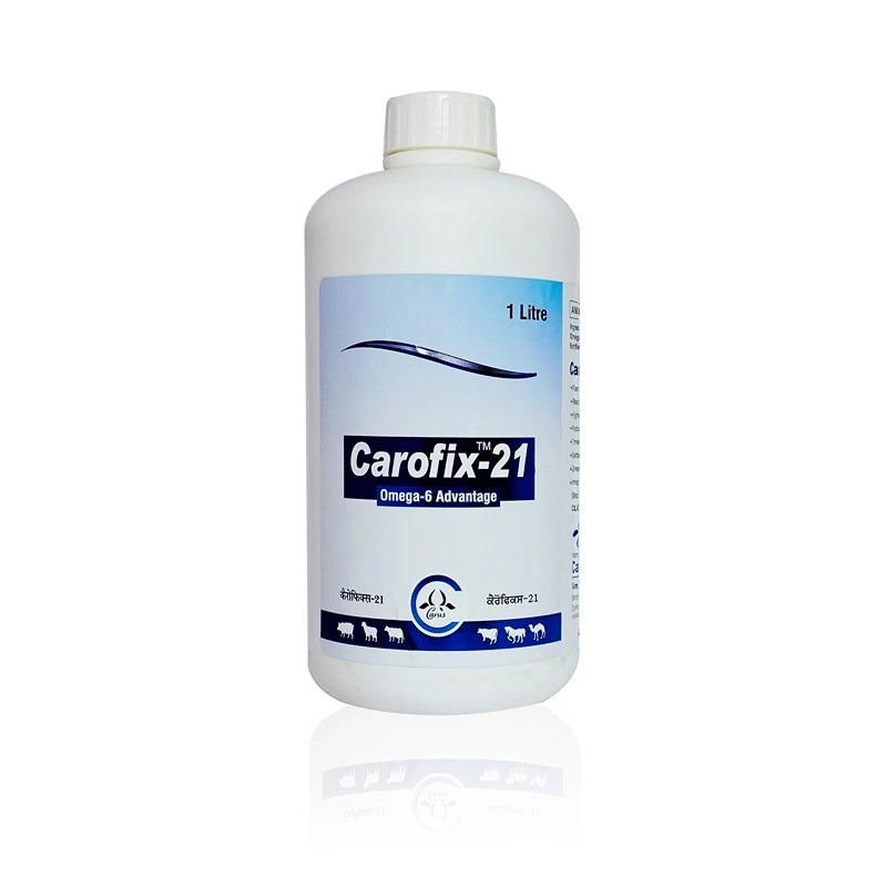 CAROFIX – 21
