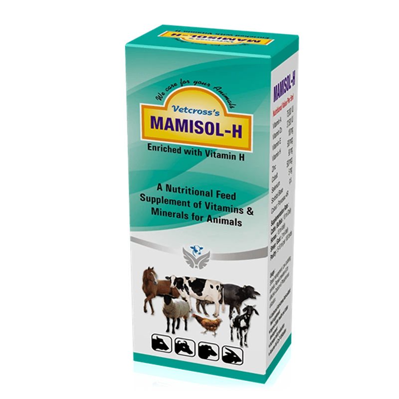 Mamisol H Liquid