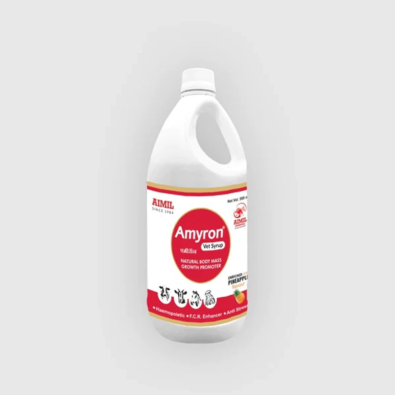 Amyron Vet Syrup