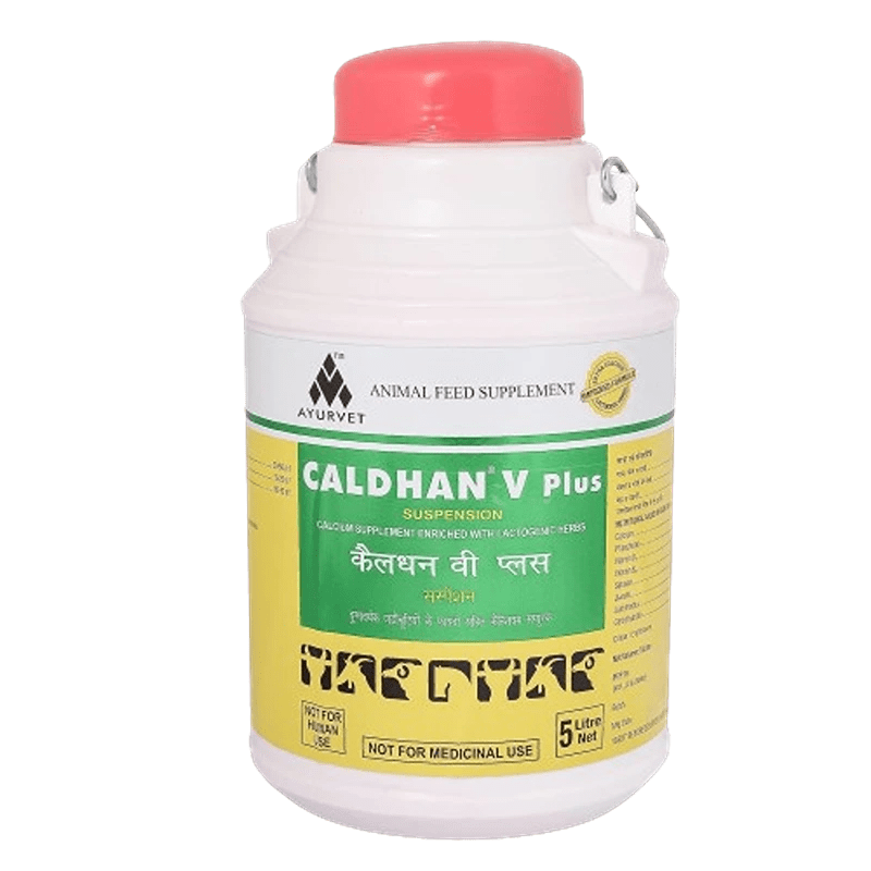 CALDHAN V Plus