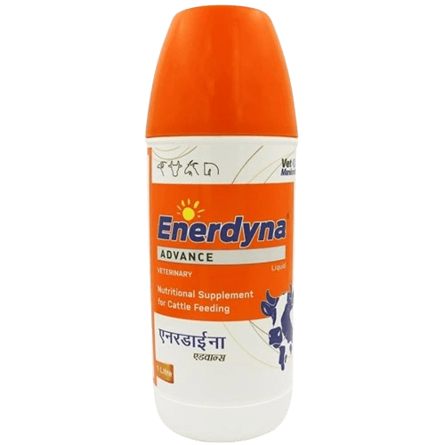 Enerdyna ADVANCE