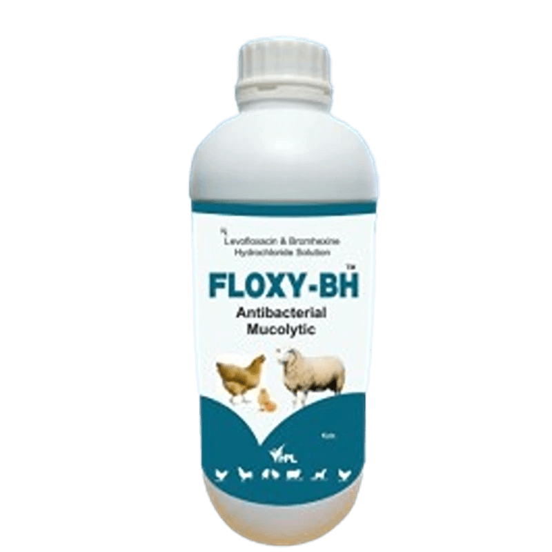 FLOXY-BH SOLUTION