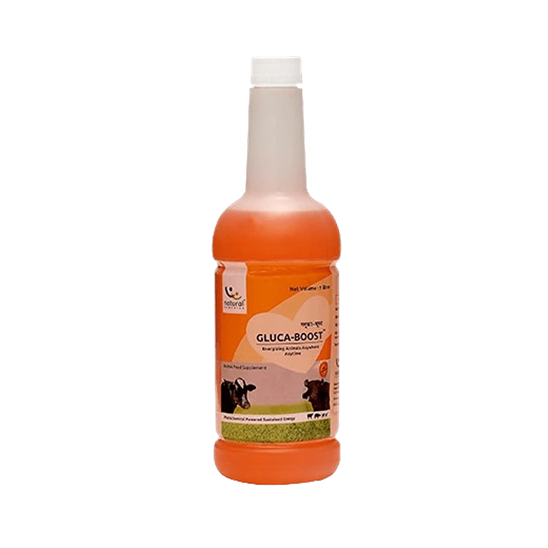 GLUCA-BOOST
