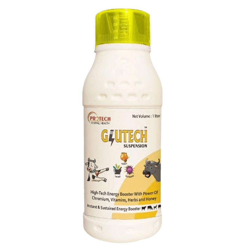 GLUTECH SUSPENSION