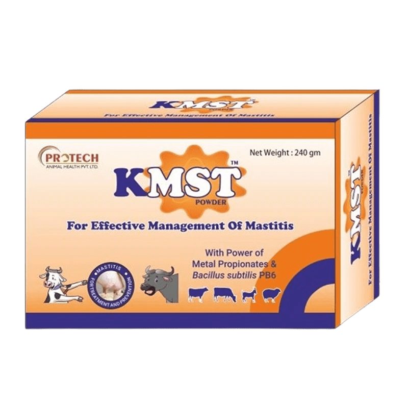 KMST POWDER