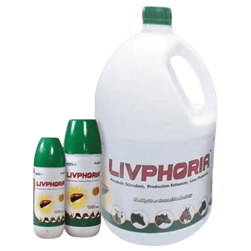 Livphoria LIQUID