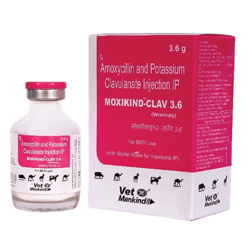 MOXIKIND-CLAV 3.6 INJECTION